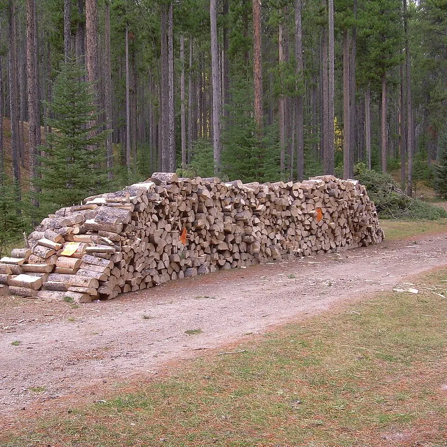 Bois de chauffage en vrac